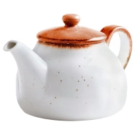 P.L.Proff Cuisine Чайник Fusion Orange Sky (600 мл) 81223226